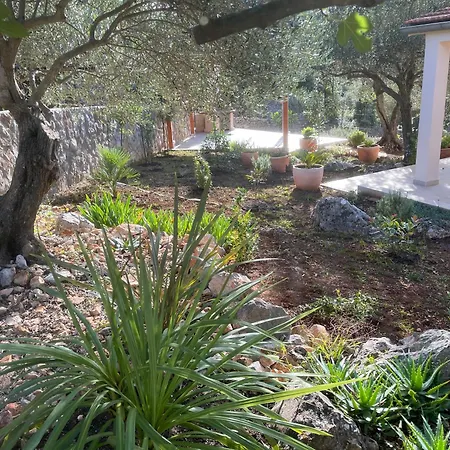 Villa Boric By The Sea-2